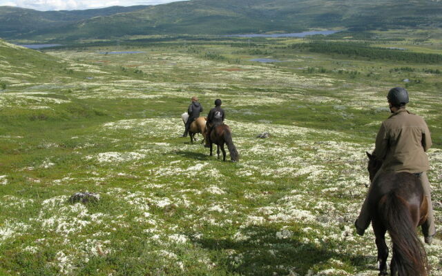 Dalseter Høyfjellshotell