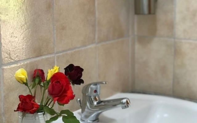 Arancetodamare Artemide