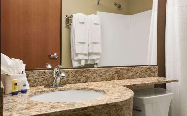 Microtel Inn & Suites by Wyndham Pleasanton