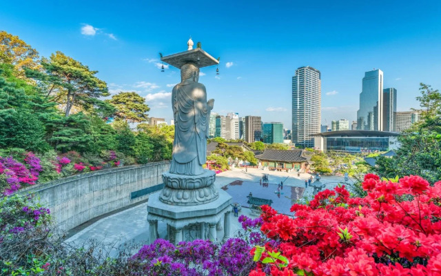 Dongdaemun Stay Hostel
