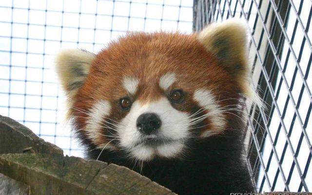 Hilton Garden Inn Green Bay