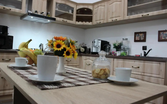 ELLA Apartment Timisoara no9