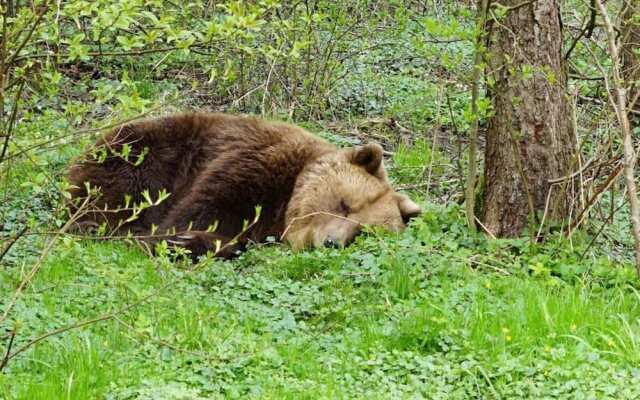 Blockhaus Fleesensee