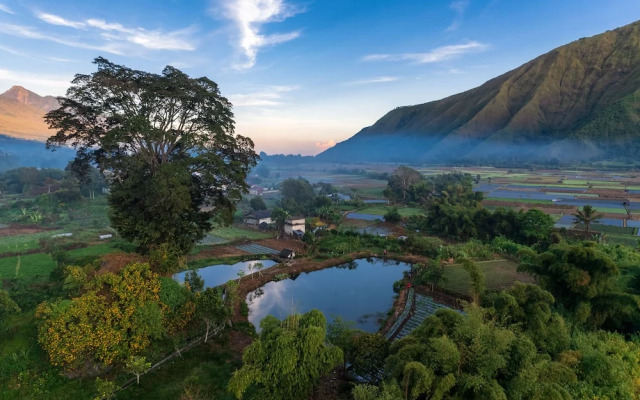 Tresno Sembalun Rinjani