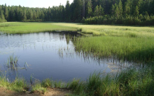 Holiday-home Rogla