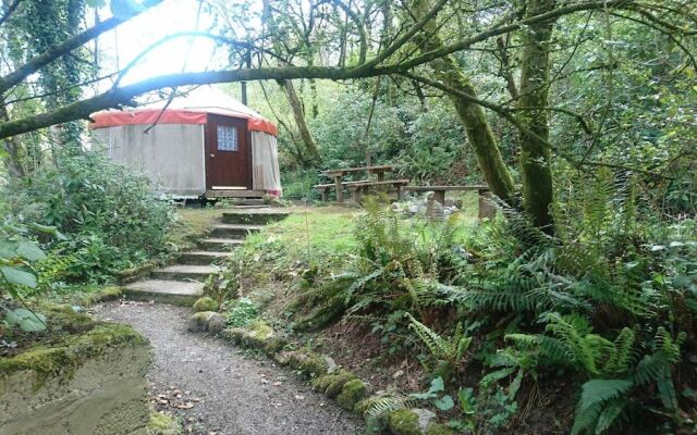 Yurtcamp Devon