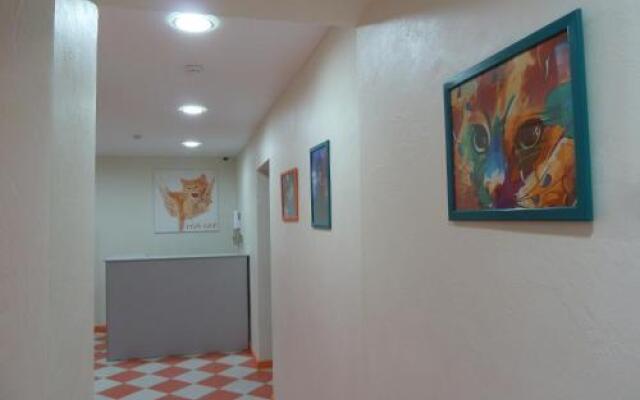 Hostel Red Cat