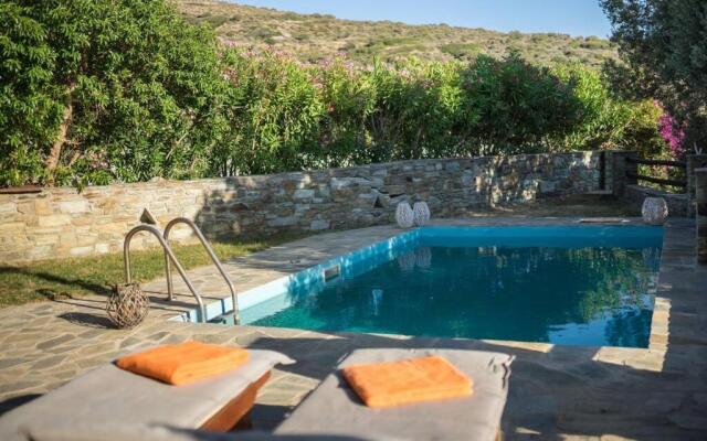 2AG252-House with a pool in Andros