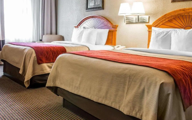 Quality Inn and Suites Airport