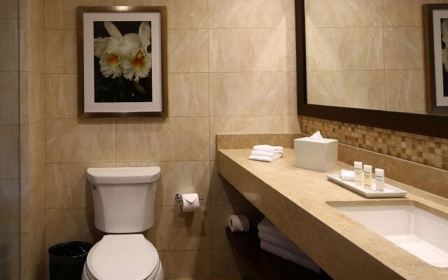 Hilton Garden Inn Cusco