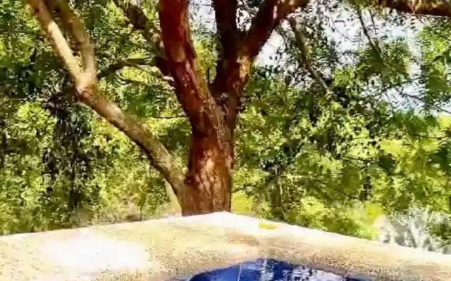Mangoo Glamping