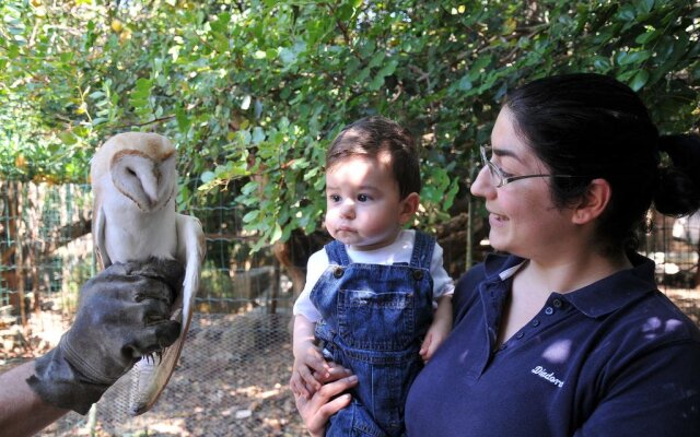 Casa Vacanza La Scisa