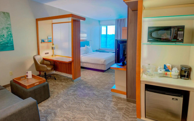 SpringHill Suites by Marriott Macon