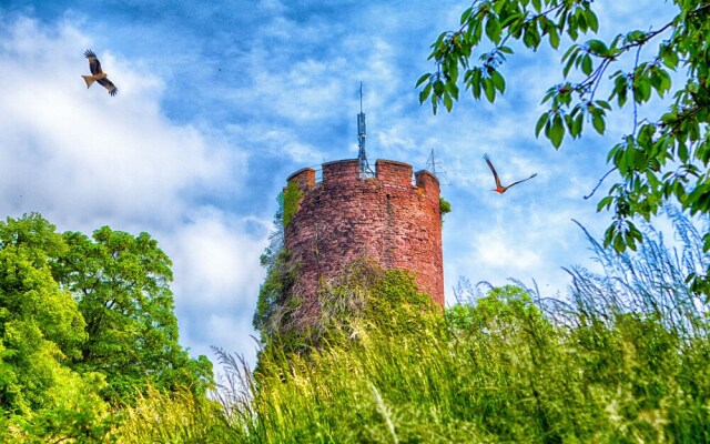 Veltheimsburg