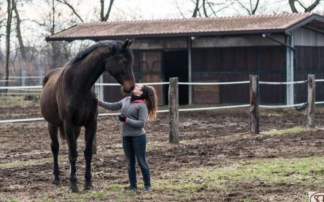 San Giacomo Horses & Agriturismo