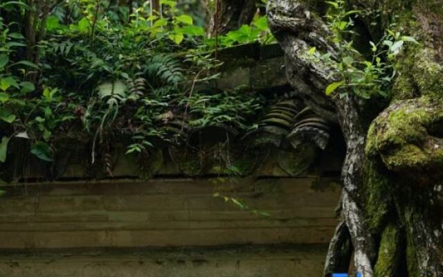 Tiantai Shanqing Homestay