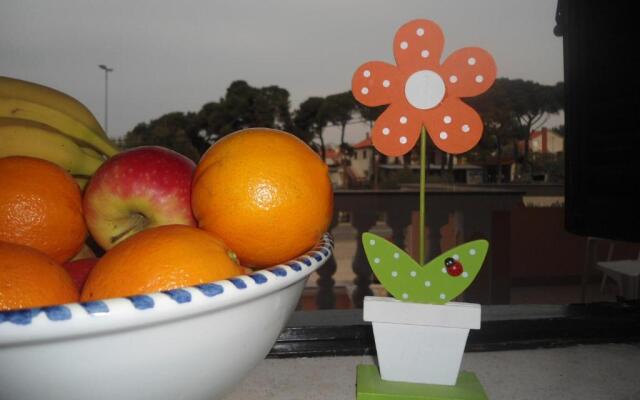 Apartment and Rooms Toka