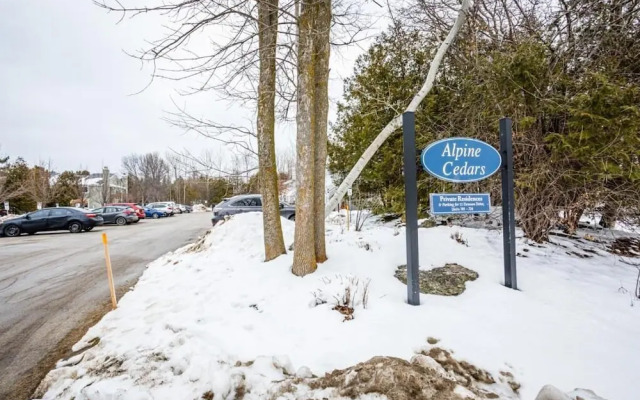 The Nordic -Central Collingwood Condo