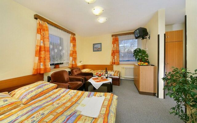 Hotel Stary Mlyn