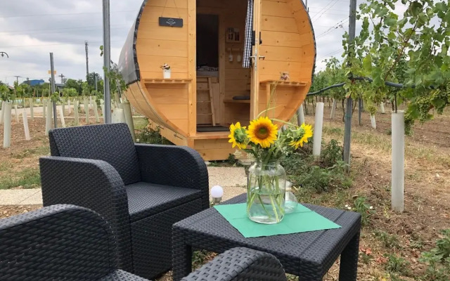 Schlaffass- Schlafen im Weinfass - Campsite