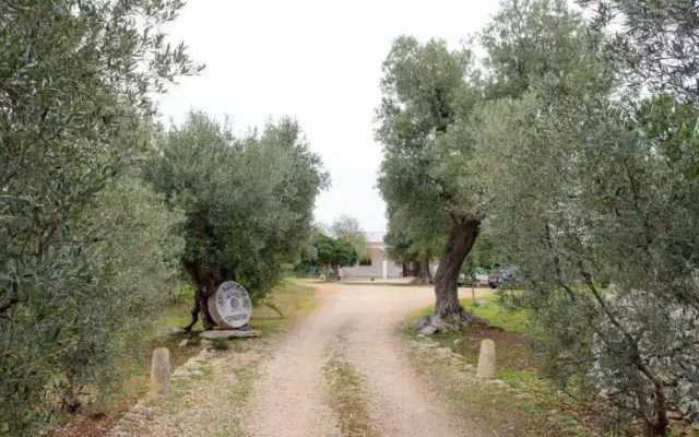 Azienda Cesaresei