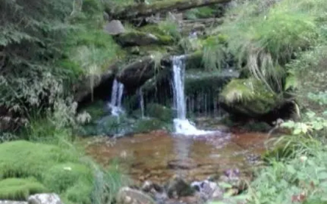 Pokoje Gościnne Przy Lesie