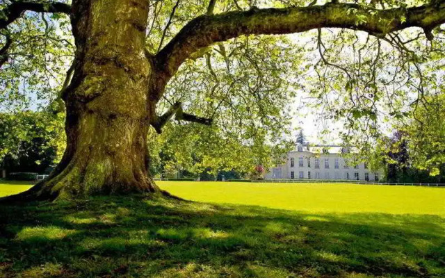 Novotel Château de Maffliers Demeure de Campagne