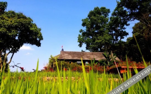 Mijing Wazhai Rice Field Manor