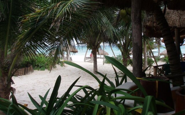 BT Live Tulum located at the party zone