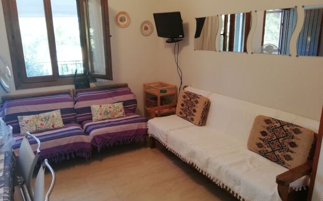 Zoe's Ideal Summer House