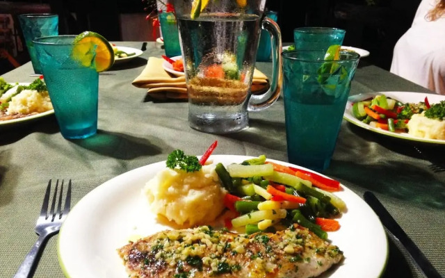 Jungle Lodge at Wild Sun Rescue