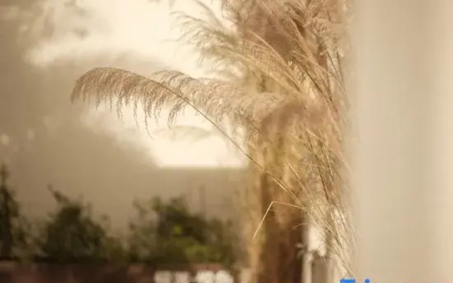 Silver Beach Yuese Hostel