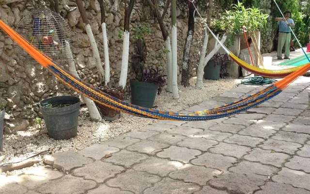 Siesta Fiesta Hostel