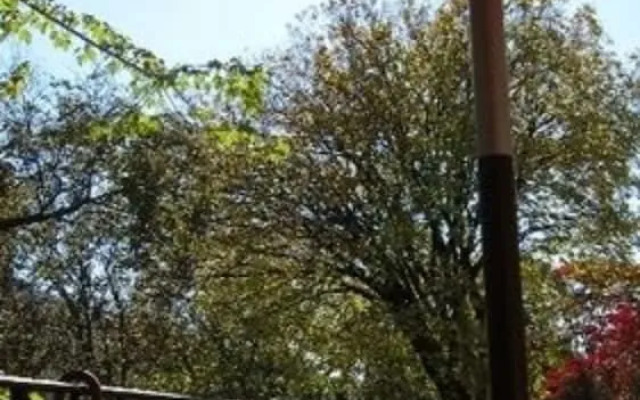 Kalorama Guest House