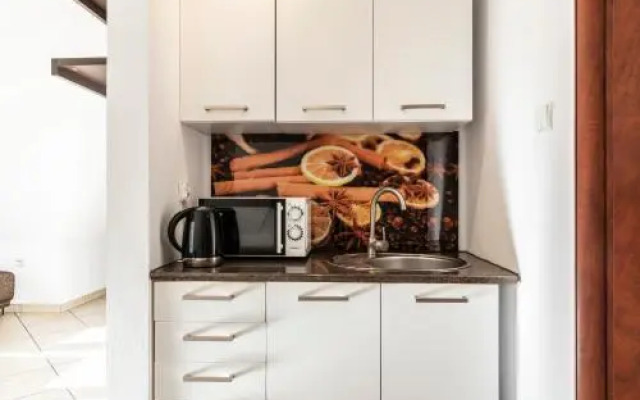 Brzoza w centrum Zakopanego