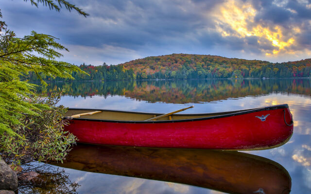 Algonquin Log Cabin