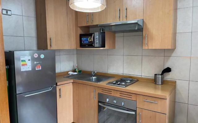 Santiago Lastarria Apartment