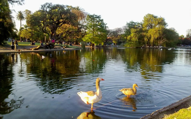 Palermo Nuevo Apartment