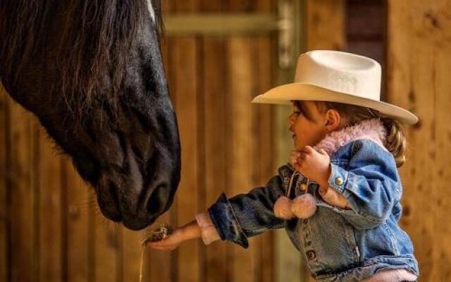 El Bronco Working Ranch