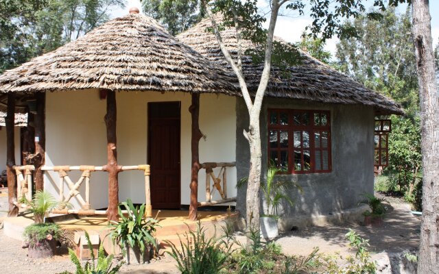 The Vijiji Center Lodge and Safari