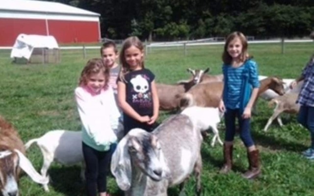 Flint Hill Farm AG