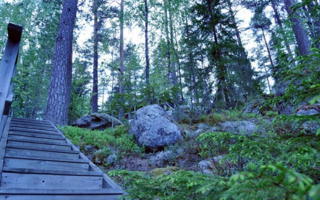Salkolahti Tontti