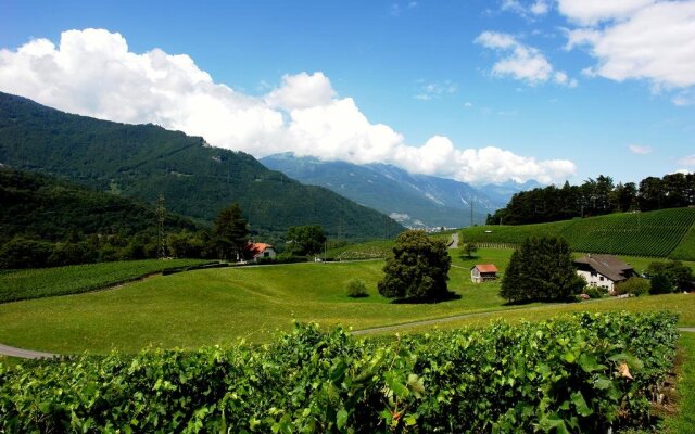 Clos des Caillettes
