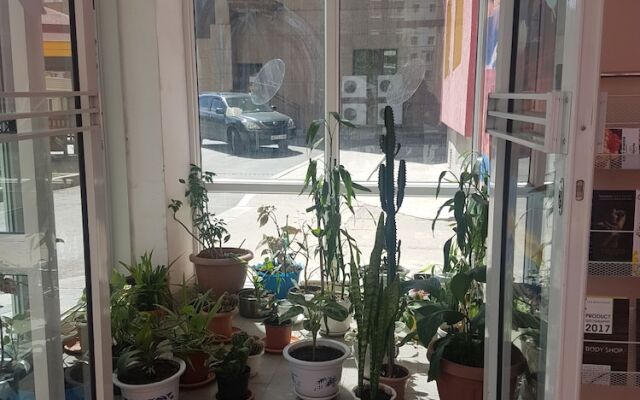 Naran Apartment
