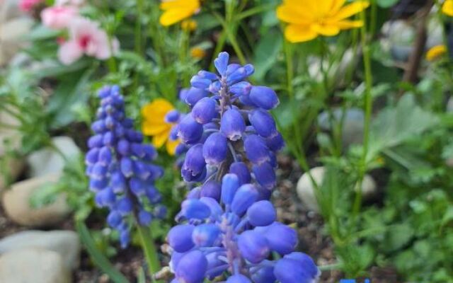 Happy Garden Guest House