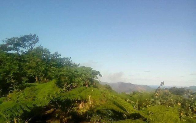 Tanna Top View Bungalows