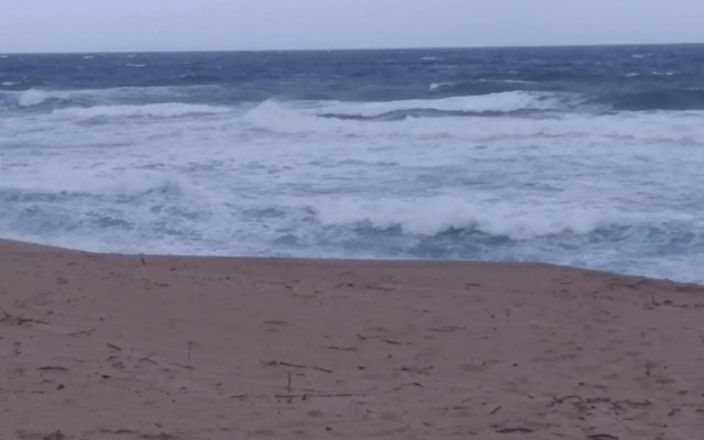 Henry's House on Sea