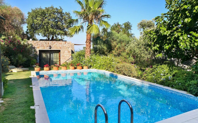 Important Group Villa BD420 5 Bedrooms