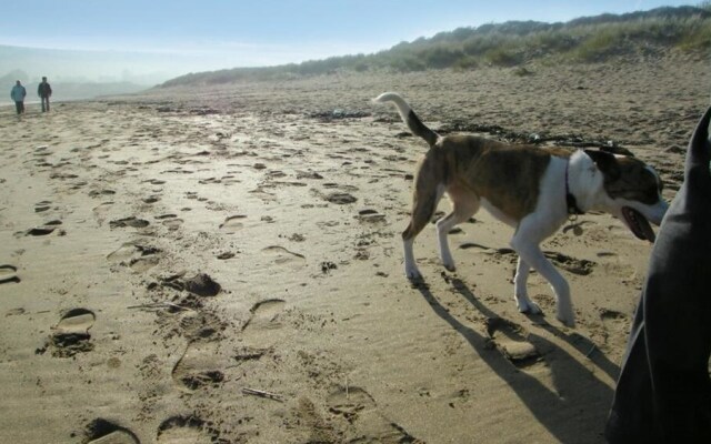 Freshwater Bay Hol Vge 14