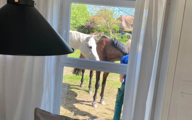 Appartement im alten Pferdestall